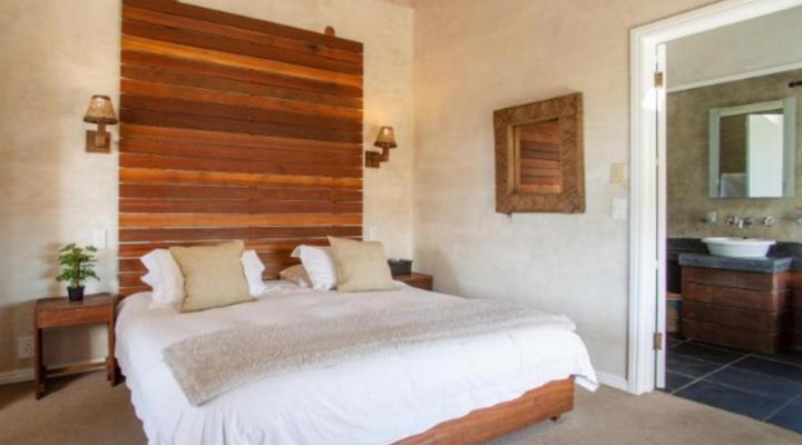 African Violet - Loft Living