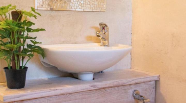 African Violet - Loft Living