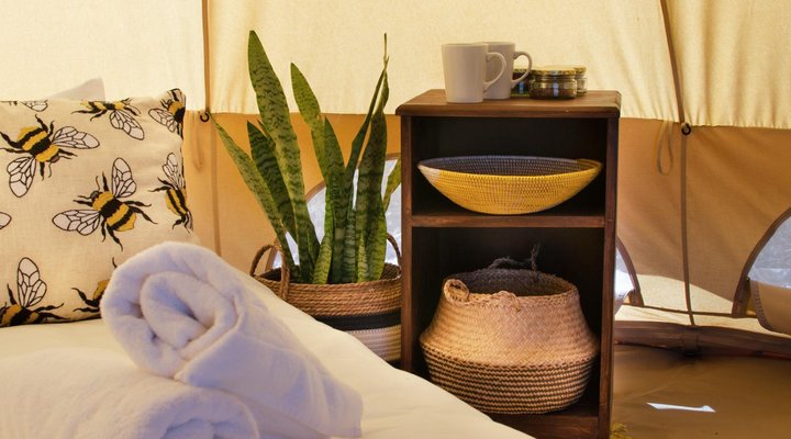 The Leadwood Safari Camp