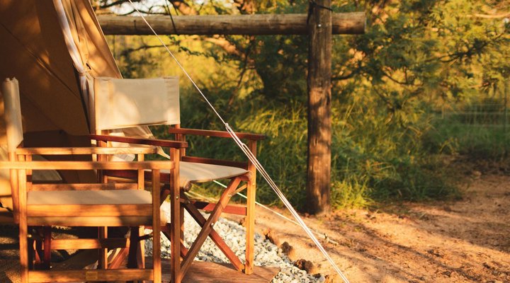 The Leadwood Safari Camp