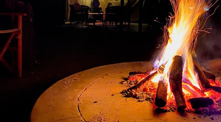 The Leadwood Safari Camp