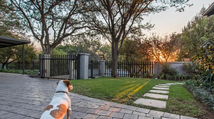 Garden View Executive Suite