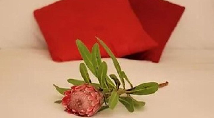 Le Ballon Rouge Guest House