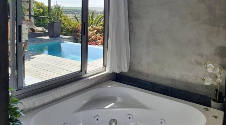 African Violet - Terraces