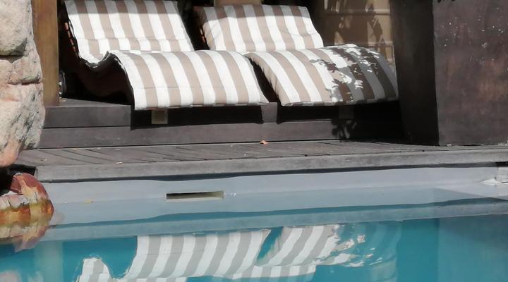 African Violet - Terraces