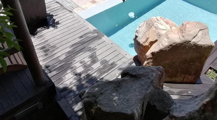 African Violet - Terraces