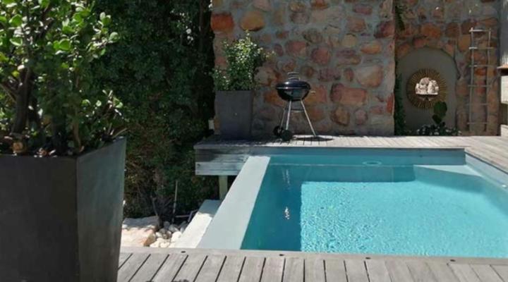 African Violet - Terraces