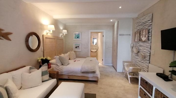 African Violet - Terraces