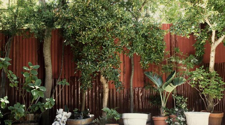 Grand Africa Rooms & Rendezvous