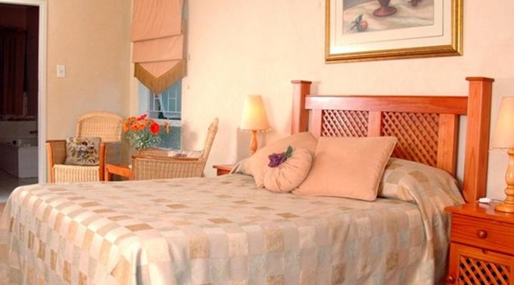 Purple Olive Guest House