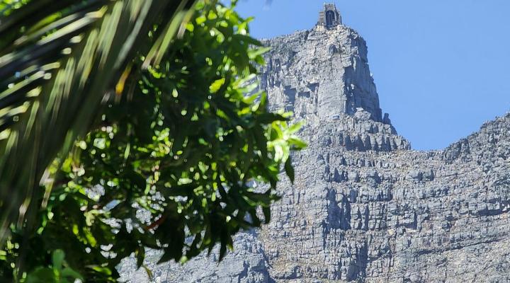 Botany House Boutique Retreat