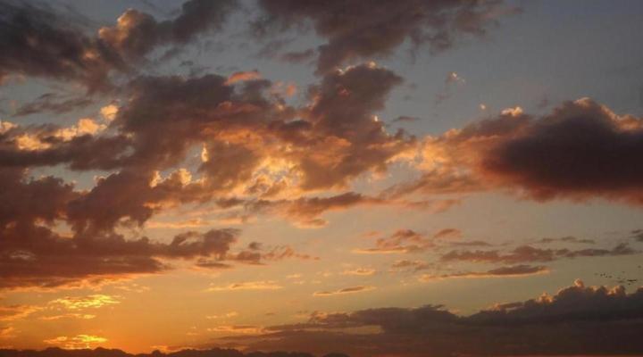 Blue On Blue Bed and Breakfast