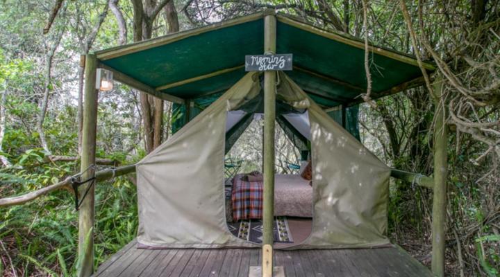 Peace of Eden ~ Vegan Forest Escape