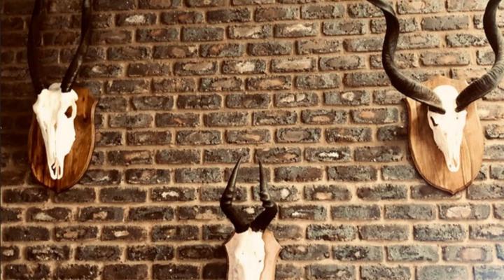 Trichardspoort Game Farms