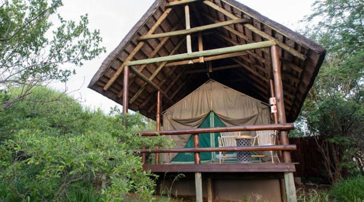 Sausage Tree Safari Camp