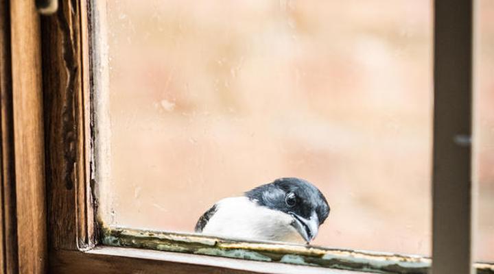 Blommekloof Country Cottages 