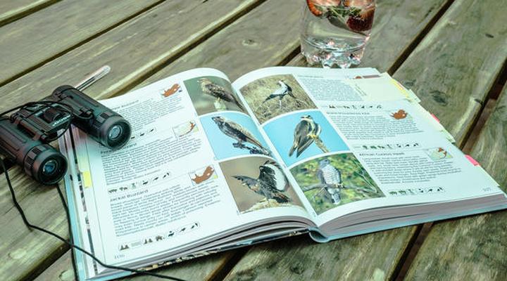 Blommekloof Country Cottages 