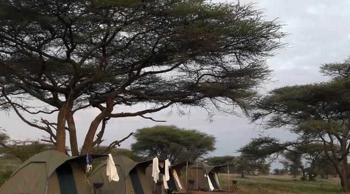 Great Migration Camps - Serengeti