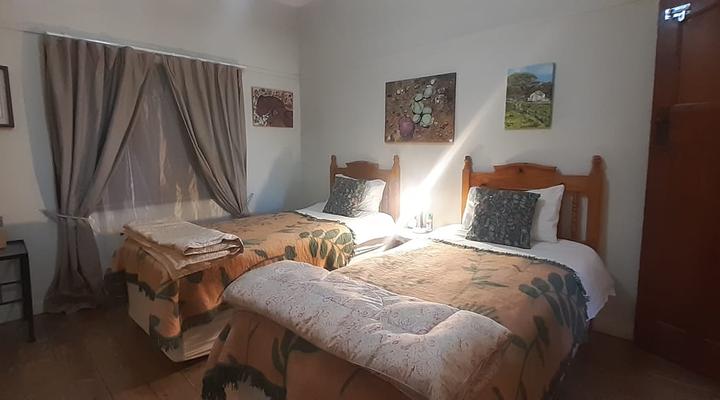 Die Ark Gastehuis and Williston Mall