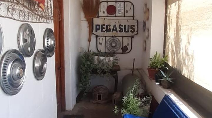 Die Ark Gastehuis and Williston Mall