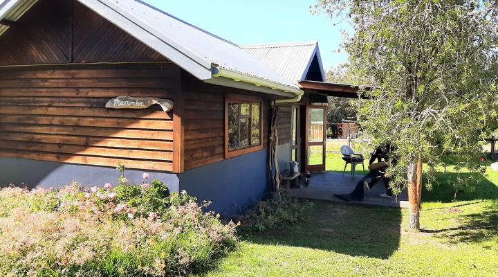 Peace of Eden ~ Vegan Forest Escape