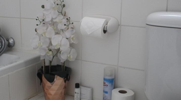 Asante Guesthouse and Restaurant