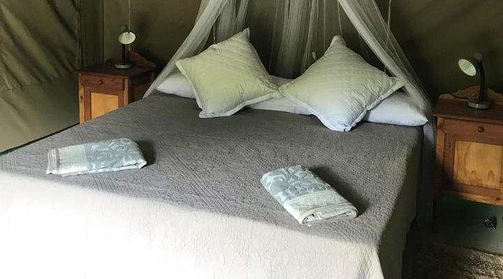 Sanctuary Guest & Adventure Farm