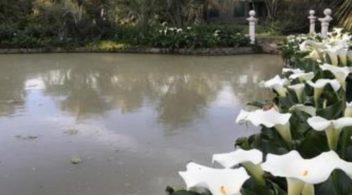 Sanctuary Guest & Adventure Farm