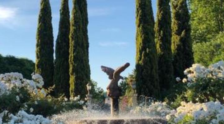 Sanctuary Guest & Adventure Farm