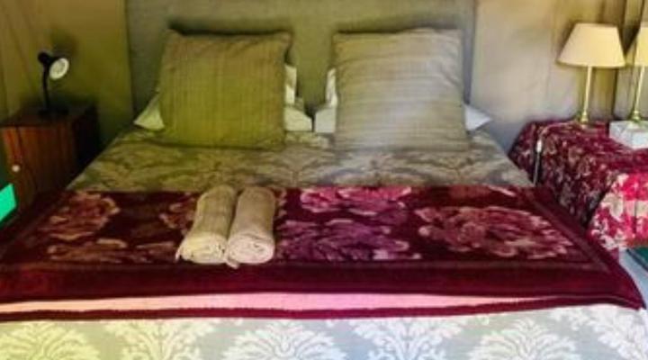 Sanctuary Guest & Adventure Farm