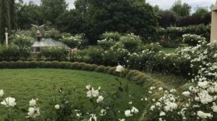 Sanctuary Guest & Adventure Farm