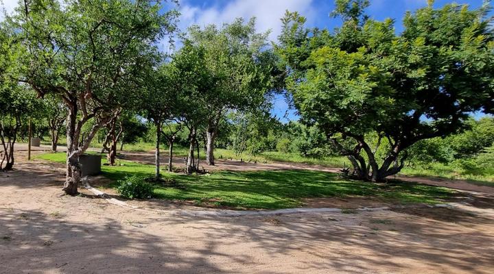 Maru Djembe Campsite Hoedspruit Greater Kruger