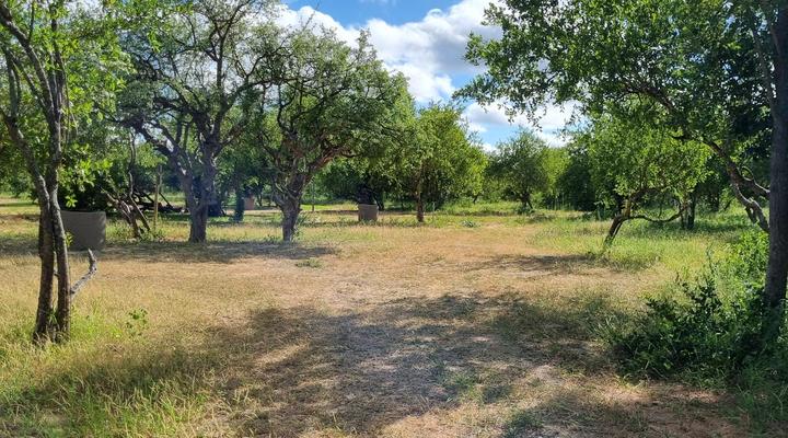 Maru Djembe Campsite Hoedspruit Greater Kruger