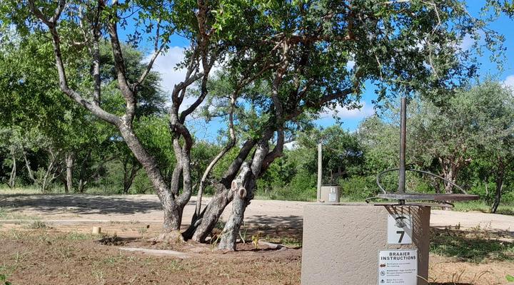 Maru Djembe Campsite Hoedspruit Greater Kruger