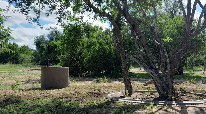 Maru Djembe Campsite Hoedspruit Greater Kruger