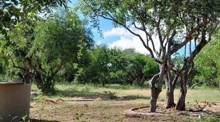 Maru Djembe Campsite Hoedspruit Greater Kruger