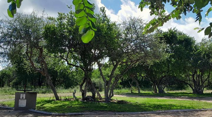 Maru Djembe Campsite Hoedspruit Greater Kruger