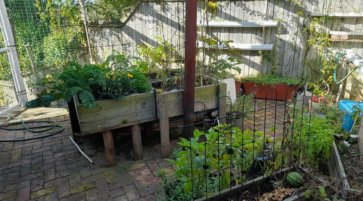 Barnard Self-Catering Apartments