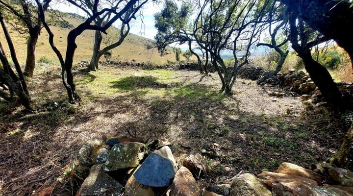 Valley of the Rainbow Fly Fishing Estate