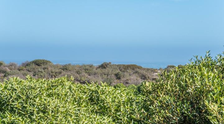 Grootvlei Guest Farm