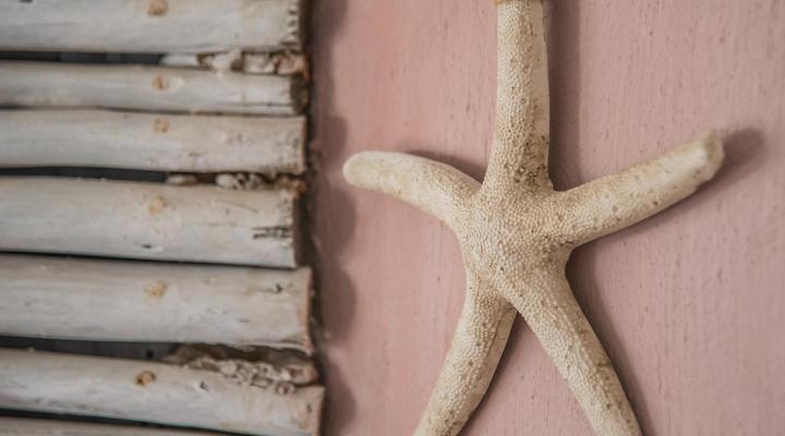 Grootvlei Guest Farm