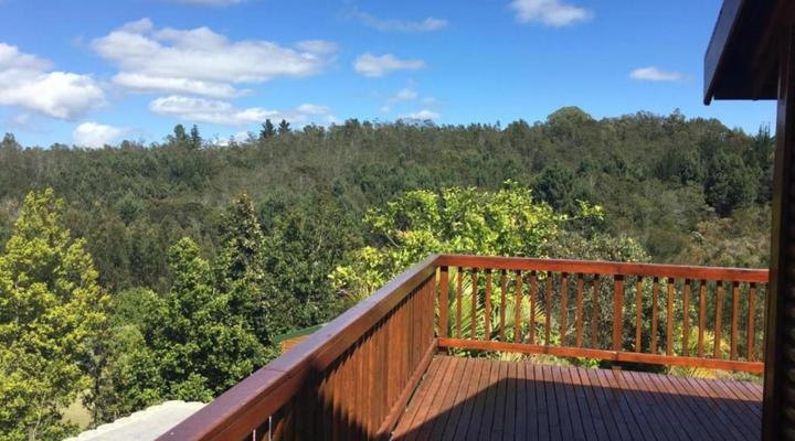 Knysna Forest View