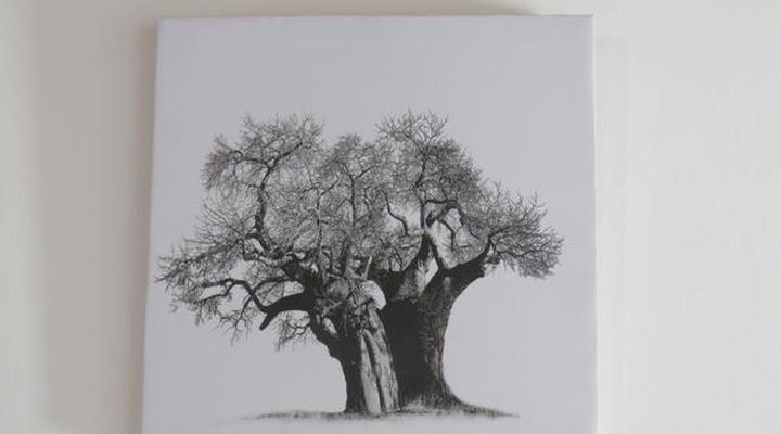 Magnolia Place Stellenbosch Guest House