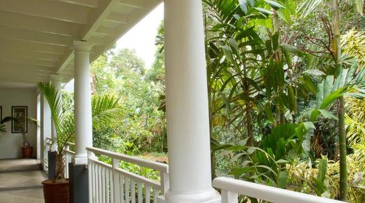 Summerhill Estate Culinary Retreat