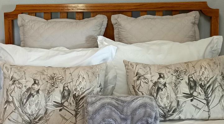 Wild Olive Sanctuary Accommodation