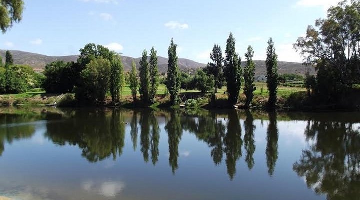 Bonnievale River Lodge