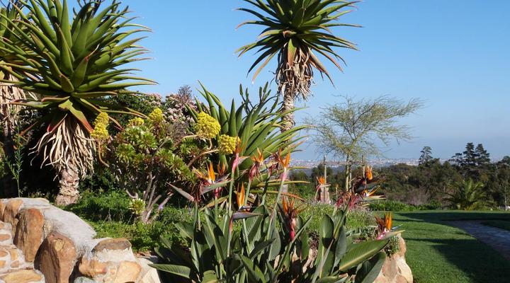 Apricot Gardens Boutique Guest House