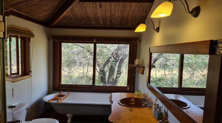 Bushwillow Collection