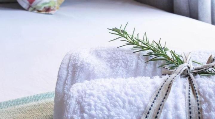 Gorgeous Gecko Guesthouse