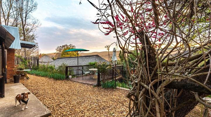 Umzimkulu River Lodge